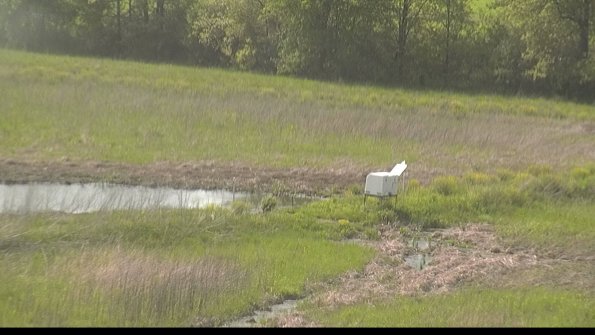 capture-13-22-05-19_16-50-16-31