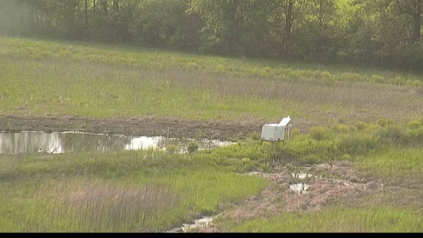 capture-13-22-05-19_18-18-41-47