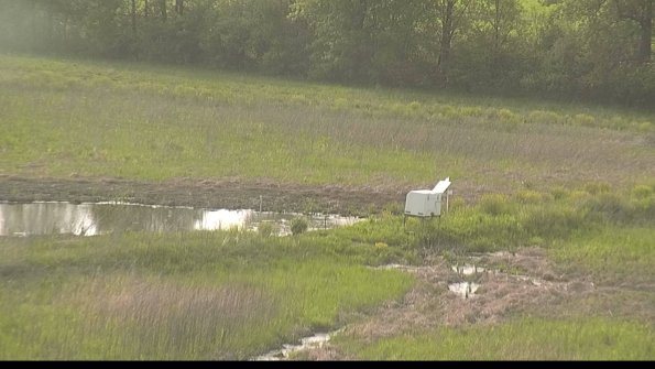 capture-13-22-05-19_18-25-34-98