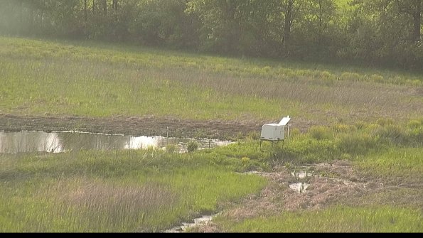 capture-13-22-05-19_18-28-21-08