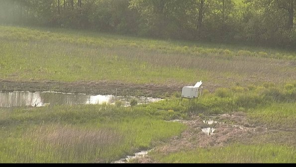 capture-13-22-05-19_18-33-50-91