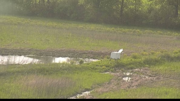 capture-13-22-05-19_18-36-35-24