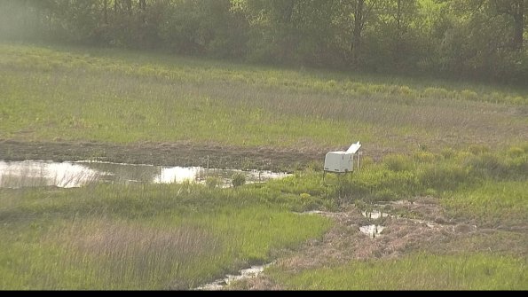 capture-13-22-05-19_18-38-26-79