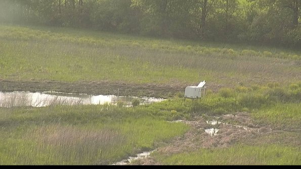 capture-13-22-05-19_18-40-15-60