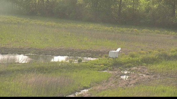 capture-13-22-05-19_18-42-06-47