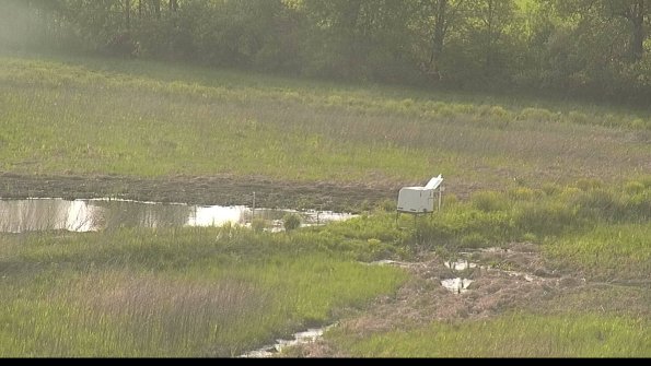 capture-13-22-05-19_18-48-32-03