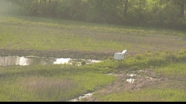 capture-13-22-05-19_18-56-44-72