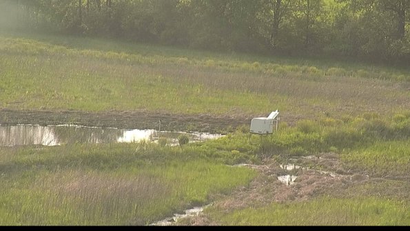 capture-13-22-05-19_18-57-41-68