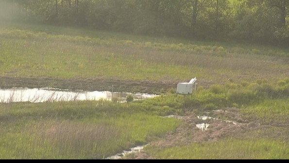 capture-13-22-05-19_19-08-39-44