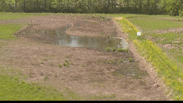 capture-14-22-05-19_15-48-24-31