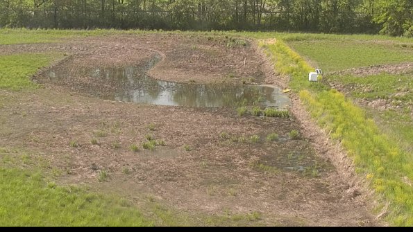 capture-14-22-05-19_16-50-44-34