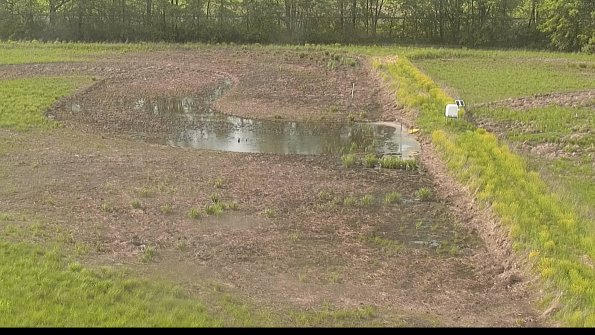 capture-14-22-05-19_17-53-06-26