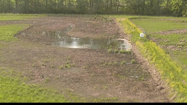 capture-14-22-05-19_18-18-53-84