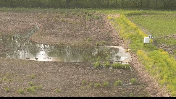 capture-14-22-05-19_18-24-44-46