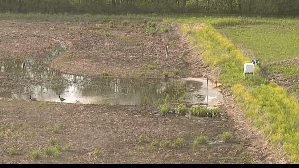 capture-14-22-05-19_18-30-15-80