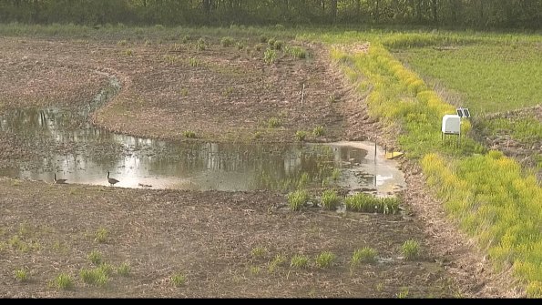 capture-14-22-05-19_18-31-10-92