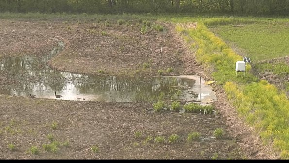 capture-14-22-05-19_18-33-00-63