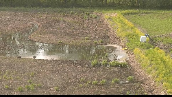 capture-14-22-05-19_18-34-49-97