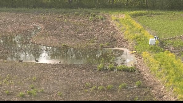 capture-14-22-05-19_18-36-41-15