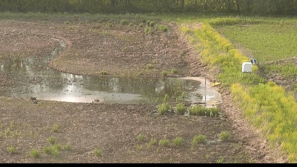 capture-14-22-05-19_18-37-35-64