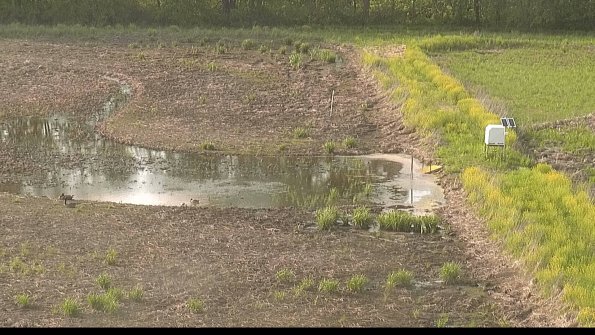 capture-14-22-05-19_18-38-30-36