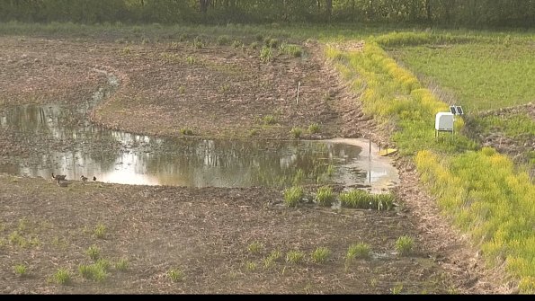 capture-14-22-05-19_18-42-10-35