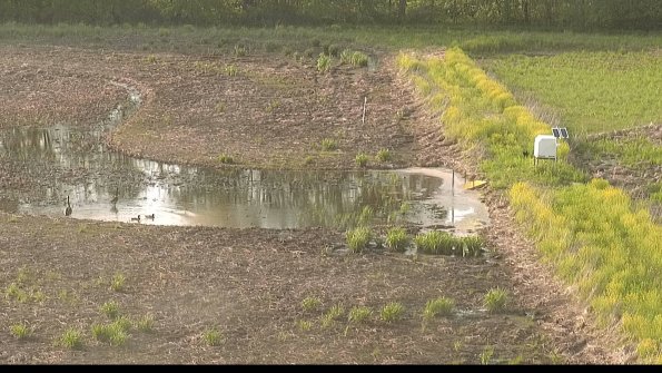 capture-14-22-05-19_18-55-56-64