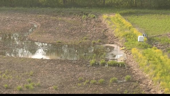 capture-14-22-05-19_18-57-45-45