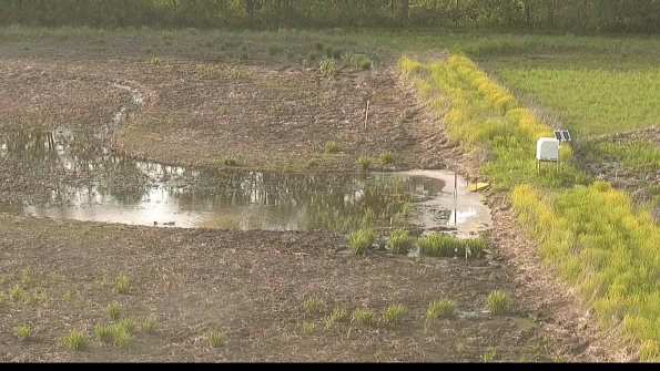 capture-14-22-05-19_19-10-36-16