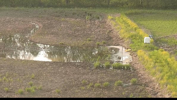 capture-14-22-05-19_19-22-31-11