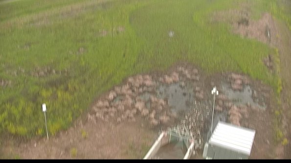 capture-3-22-05-19_08-30-49-31