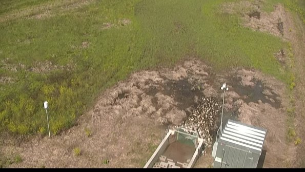 capture-3-22-05-19_10-35-31-32