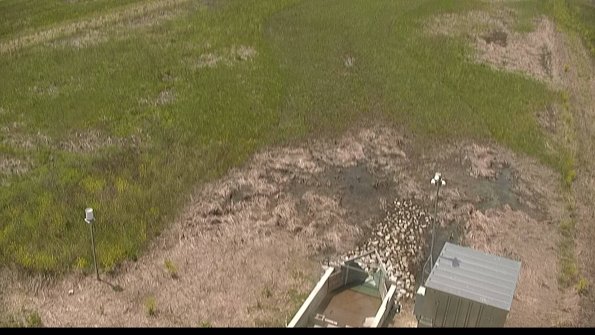 capture-3-22-05-19_13-42-34-36