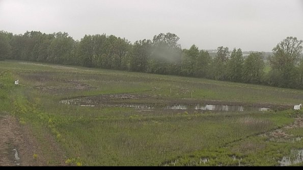 capture-4-22-05-19_07-28-57-21