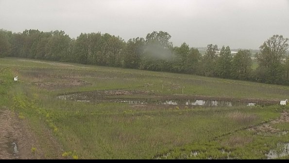 capture-4-22-05-19_08-31-16-34