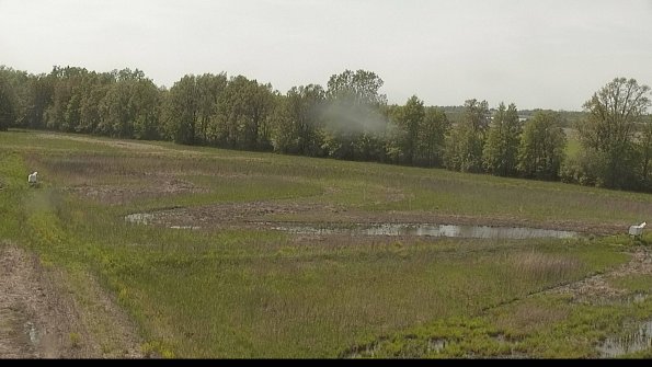 capture-4-22-05-19_15-47-42-44