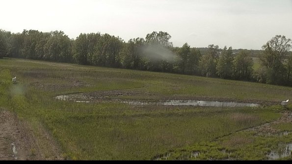 capture-4-22-05-19_16-50-02-43