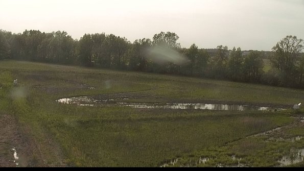 capture-4-22-05-19_18-20-51-26