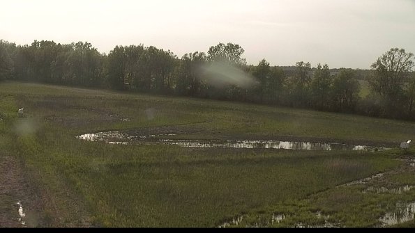 capture-4-22-05-19_18-24-11-23