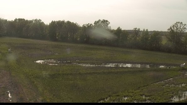 capture-4-22-05-19_18-26-00-94