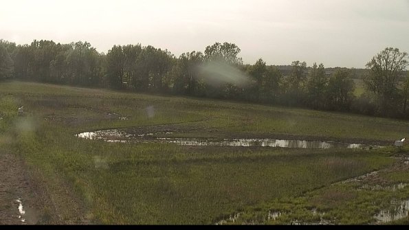 capture-4-22-05-19_18-26-55-46