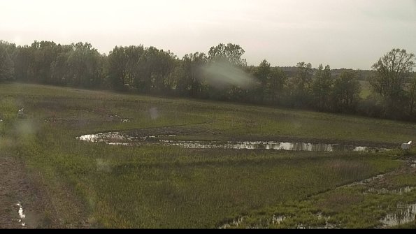 capture-4-22-05-19_18-27-51-38