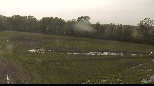 capture-4-22-05-19_18-29-41-03