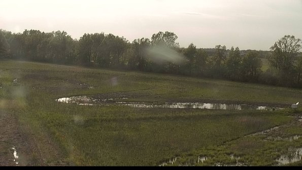 capture-4-22-05-19_18-31-32-37