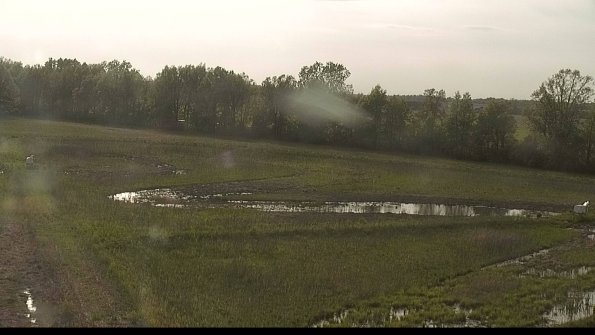 capture-4-22-05-19_18-33-20-75