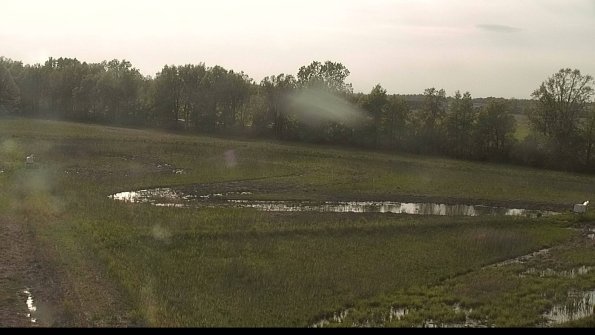 capture-4-22-05-19_18-35-10-92