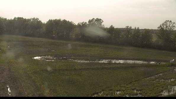 capture-4-22-05-19_18-38-51-11