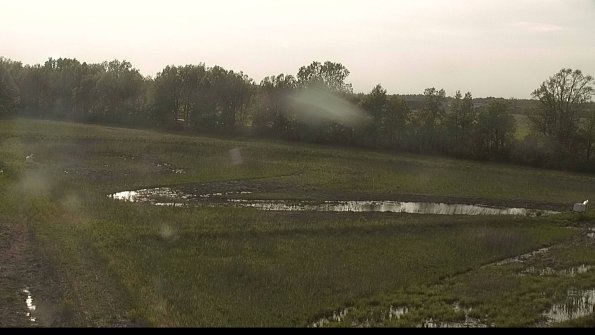 capture-4-22-05-19_18-39-45-90