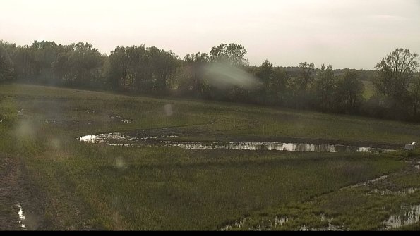 capture-4-22-05-19_18-41-36-91