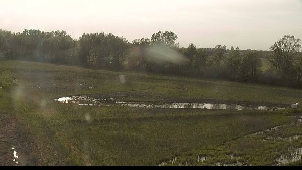 capture-4-22-05-19_18-43-25-65